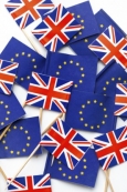 BREXIT%20ARTWORK.jpg