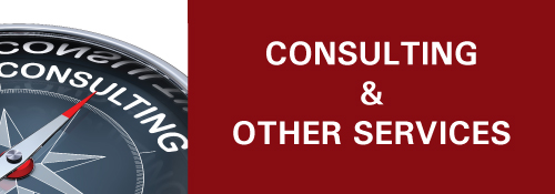 Consulting Services