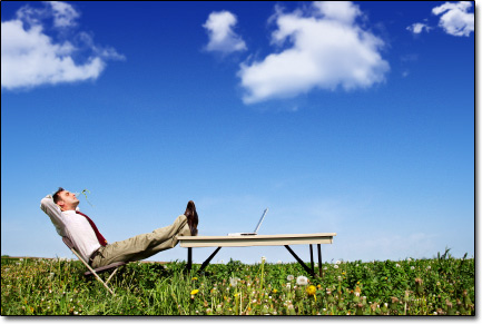 Accountants in Grass on Laptop