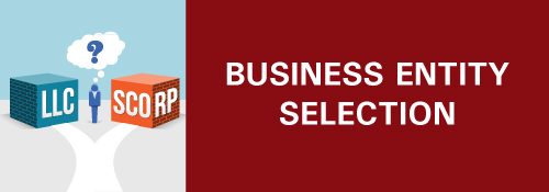 Business Entity