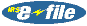 Authorized E-File Provider